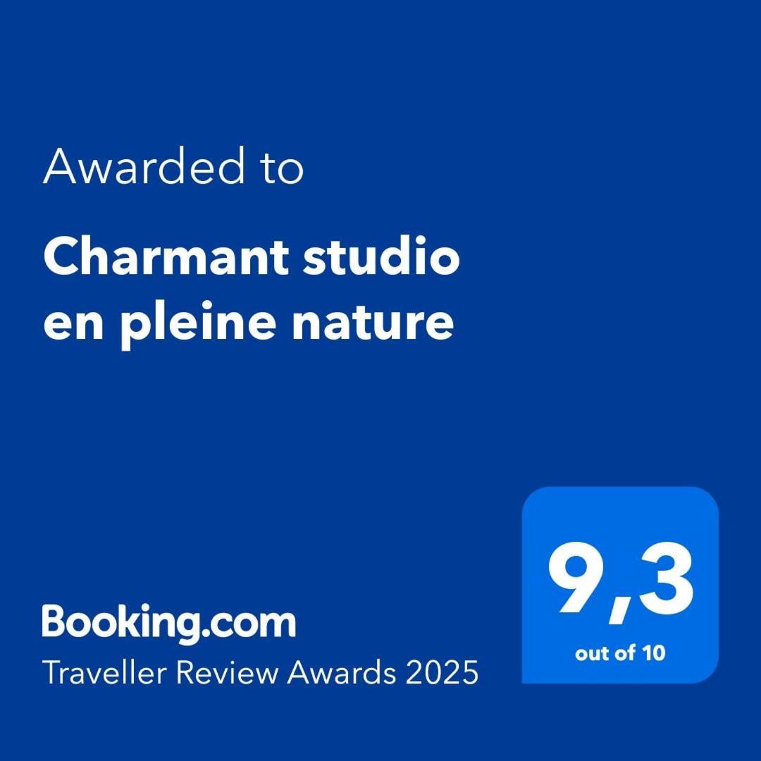 Charmant Studio En Pleine Nature Klingenthal Zewnętrze zdjęcie